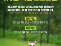 강아지숲, '7~8월 온라인 특별 프로모션' 진행...'최대 30% 할인'