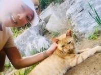 김희애, 러닝 중 만난 길냥이와 셀카 찰칵!..."며칠 동안 보이지 않아 걱정했던"