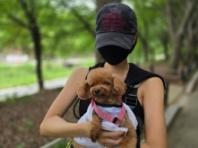 윤세아, 반려견 '뽀그리야'와 함께하는 여름 일상..."요즘 우리의 산책"