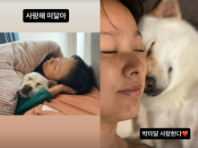 이효리, 품에 안겨 잠든 반려견 향한 진한 애정 표현..."사랑해 미달아"