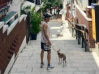이규형, 강아지와 산책 후 즐긴 시원한 커피 한 잔의 여유