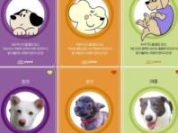 경기도, 스타필드 수원서 '유기동물 입양상담' 팝업 운영