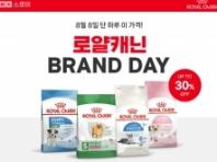 로얄캐닌, '세계 고양이의 날' 맞아 특별 프로모션 실시