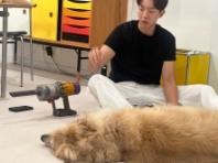 씨앤블루 이정신, 반려견 '심바' 몸단장해 주는 일상 공개..."애비 노릇 이쁜 아들"