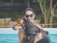 배정남 반려견 '벨' 무지개다리 건너..."더 이상 아프지 말고 마음껏 뛰어놀아"