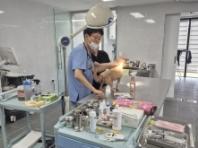 경남도, 내달 3일부터 하반기 동물병원 운영 실태 일제 점검 나서