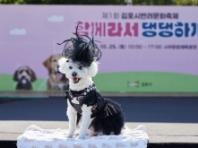 김포시, 반려문화축제 '함께라서 댕댕하개 in 김포' 성료