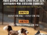 "강아지도, 보호자도 신난다!" 강아지숲, 연말까지 특별 프로모션 진행