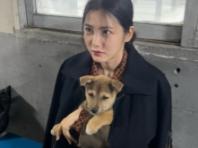 신예은, 귀여운 강아지 품에 안고 찰칵!..."종희를 지켜주는 멍뭉이"