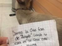 두 집 살림하다 '쪽지' 때문에 딱 걸린 고양이.."너네 냥이 우리 집에 산다?"