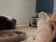 '불안장애' 엄마 꼭 껴안아준 리트리버...'최고의 위로'