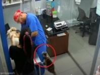 주사 때문에 겁먹은 친구 지키려 수의사에게 냥펀치 날린 고양이