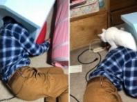 술 취한 집사가 영역 침범하자 질색하며 밟고 간 고양이