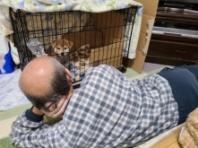 '강아지 싫다'던 아빠의 변신...'케이지 앞에 자리깔고 누워'