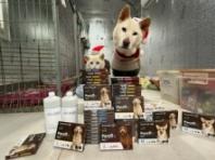 녹십자수의약품, 크리스마스 맞아 유기견 위한 동물의약품 기부