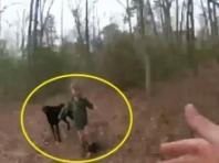 집 나간 4살 아이 끝까지 지킨 반려견..‘멍멍’ 구조요청까지