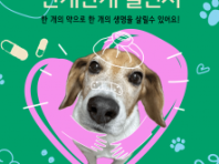 녹십자수의약품, 실험종료 비글 돕는 '한개한개 챌린지' 진행