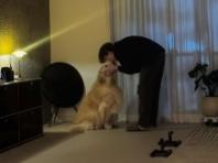 씨앤블루 이정신, 반려견 '심바'와 전한 달달한 근황..."우리 집 송아지"