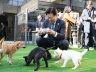 제주도, 반려동물 놀이공원·제2동물보호센터 오늘(15일) 개관