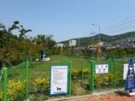 여수시, 여수박물관 접근로 공사로 이순신공원 반려견놀이터 임시휴장...'내년 2월 22일까지'