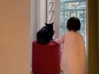 박수홍, 반려묘 '다홍이'♥딸과 함께하는 일상 공개..."창밖의 풍경도 함께 바라보고"