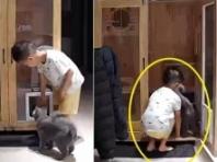 엄마 대신 일어나 고양이 아침밥 챙겨준 꼬마 집사