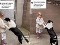 학교 갔다 돌아온 꼬마 반겨주는 유기견 출신 강아지.."보고 싶었댕!" 