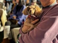 경기도 반려마루 여주, '입양가족 홈커밍데이' 연말 모임 개최