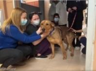 "고마웠어요!"...보호소 떠나기 전 직원들에게 작별 인사하는 유기견