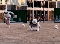 '사랑하면 닮는다더니..' 사이좋게 철퍼덕 넘어진 누나와 댕댕이