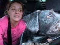 스페인 열차 참사 속 ‘기적’… 실종 반려견 4일 만에 주인 품으로