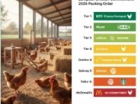 "닭의 고통 위에서 소비할 수 없다"-ECC(유럽 치킨 커미트먼트)이행 브랜드별 등급 발표