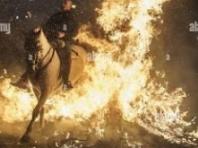 동물 수호성인 '성 안토니오'축제 동물학대 논란...모닥불 위를 뛰어넘는 말들