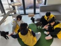 경기도 “유기동물과 따뜻한 겨울나기”  청소년 자원봉사 운영