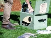 호주, AI기기 도입으로 국립공원 '길 고양이' 잡는다