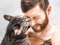 고양이가 당신을 핥는 4가지 과학적 이유: "단순한 세수가 아닙니다"