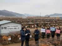 개 식용 종식 D-1년, 남겨진 50만 마리 운명은?… 보상·거취 두고 갈등 여전