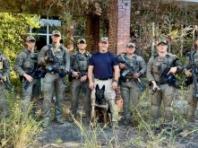 미국, 동물 학대 범죄 단속  '타이거 팀(Tiger Team)' 출범