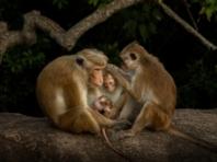 소니 월드 포토그래피 어워드 2026년 학생 및 청소년 대회 최종 후보작