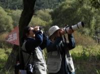 산림청, 청소년 도시숲 시민과학 프로젝트 추진