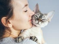 "아이보다 고양이가 좋다"… 대만 신생아 수 급감 속 고양이 등록 4배 폭증