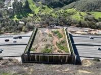 캘리포니아, 세계 최대 ‘야생동물 교차로’ 완공 눈앞… 최종 펀딩 확보