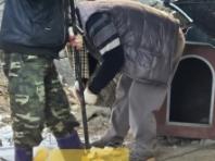 공공기관서 입양된 개 3마리…데려간 그날 잡아먹었다