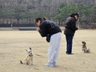 댕댕아, 학교 가자!  '서울 반려동물 시민학교' 무료 강좌 