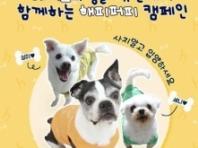 '강아지의 날' 역대급 전시회, 유기견 입양 캠페인 등 다양한 행사