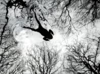 2026년 영국 야생동물 사진 어워드(BWPA) 우승작품