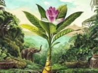 세계 야생동물의 날 국제 청소년 미술 대회 대상 한국의 15세 소녀 유 지아 