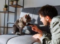 내 고양이 나이는 몇 살 인가요?