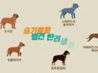 농식품부, '슬기로운 맹견 반려생활' 동영상 배포