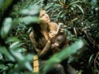 비루테 메리 갈디카스 박사 오랑우탄 연구 50년 여정